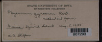 Image Associated With the Occurence